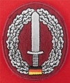 135.  beret commando