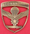 5.  beret commandos