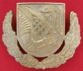 5.  beret de la 2e brigade de la garde