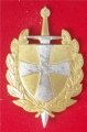 75.  Beret de la Brigade Danoise Internationale