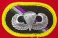 330. Brevet de sauts basic sur fond du spÃ©cial warfare non commissioned officier academy (N.C.O.A)