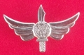 133.  brevet bataillon d'infanterie lÃ©gÃ¨re lavi -900 e brigade d'infanterie
