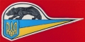 25. Beret de la 77e unité des forces spéciales (zhitomir  1996-2005)