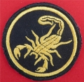 13.  beret de la 25e brigade d'assaut aeÌrien (forces speÌciales- les scorpions)