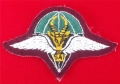 45.  beret du 1er bn parachutiste (forces spéciales)