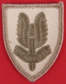 300.  beret sas regiment