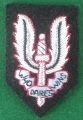 213.  beret officier des forces spéciales 
