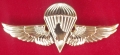 6.  brevet parachutiste (association d'anciens paras)
